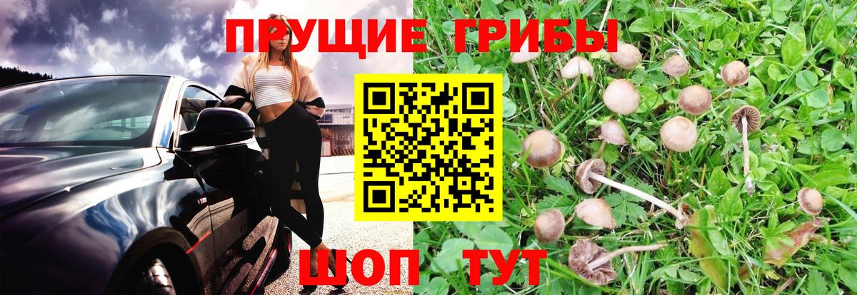 Псилоцибиновые грибы прущие грибы  Вход с VPN  Ижевск 
